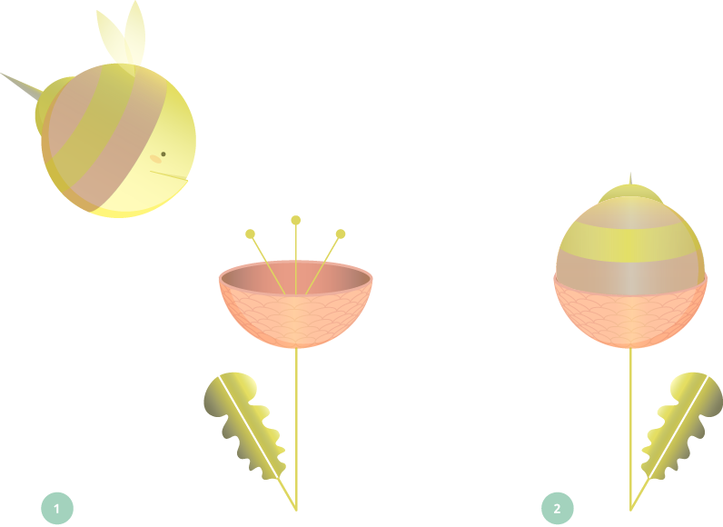 Escondite de la abellota platónika