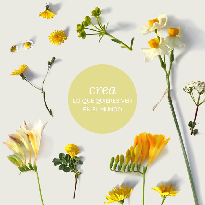 crea lo que quieres ver en el mundo