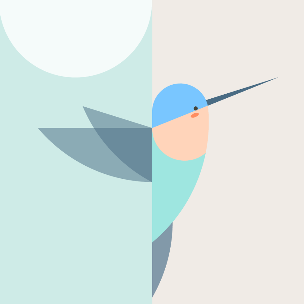 Cuchibrí platóniko