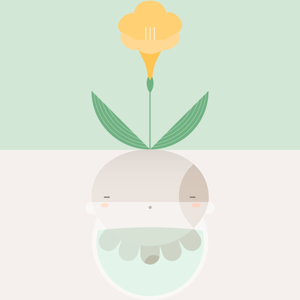 Pulbo platóniko florido