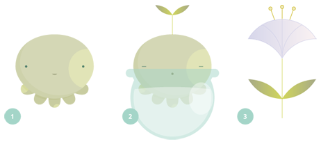 Ciclo del pulbo platóniko