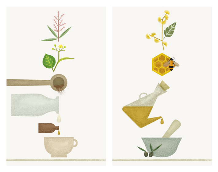 De mamás, bebés y plantas (IV)