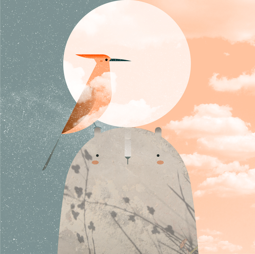 Reconstruyendo Platonia