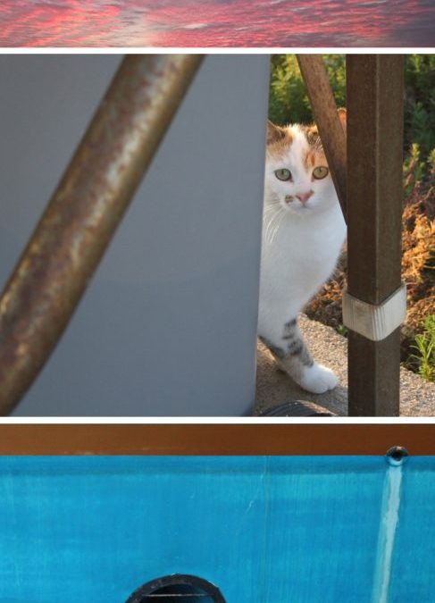 Historias del puerto (I)